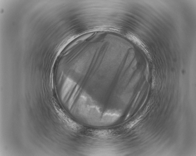 X0000059080892200510281721