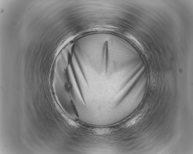 X0000059080893200510281720