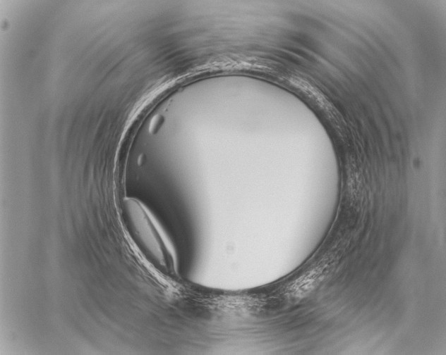 X0000059080894200510281720