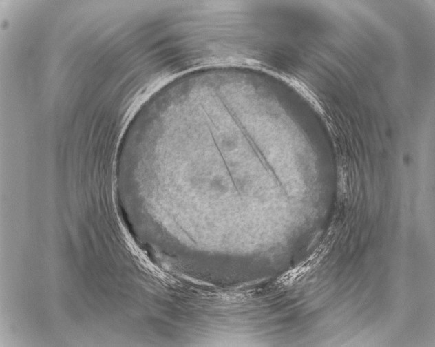 X0000059080895200510281720