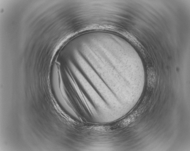 X0000059080896200510281720