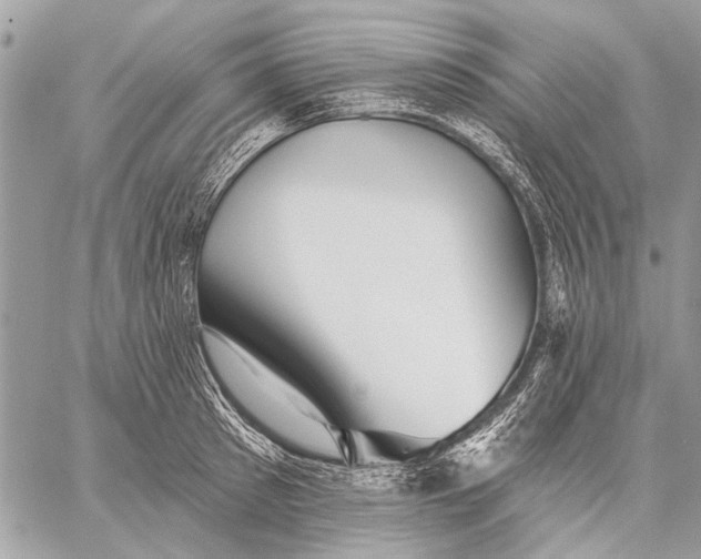 X0000059080897200510281720