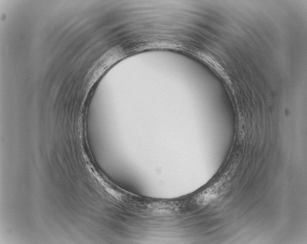 X0000059080898200510281720