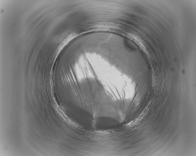 X0000059080899200510281720