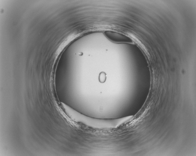 X0000059080901200510281720