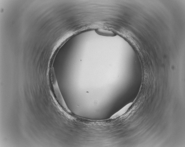 X0000059080902200510281720