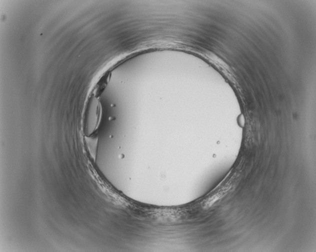 X0000059080904200510281720