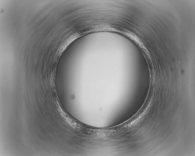 X0000059080905200510281720