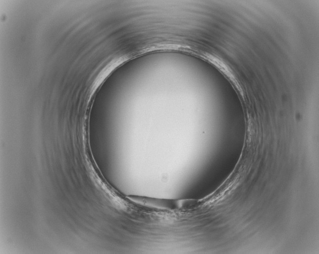 X0000059080906200510281720