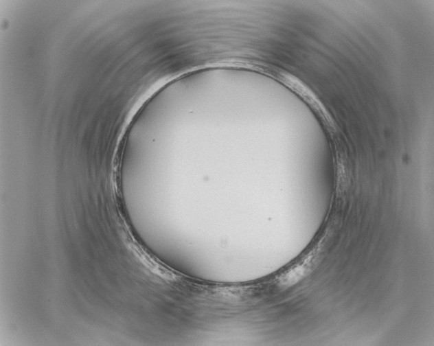 X0000059080908200510281720