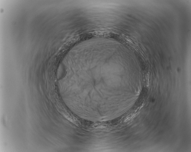 X0000059080913200510281719