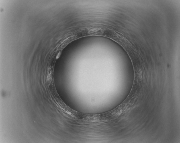 X0000059080914200510281719