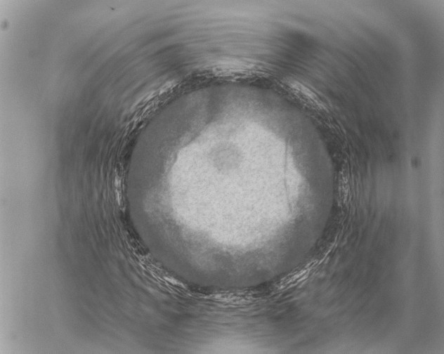 X0000059080917200510281719