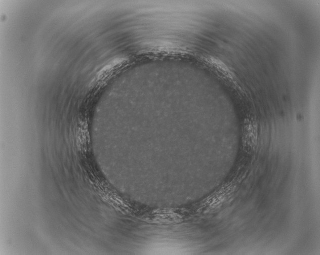 X0000059080918200510281719