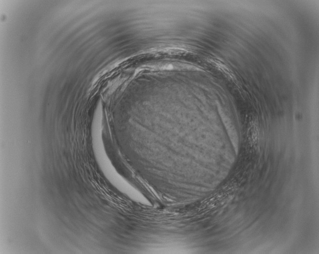 X0000059080920200510281720