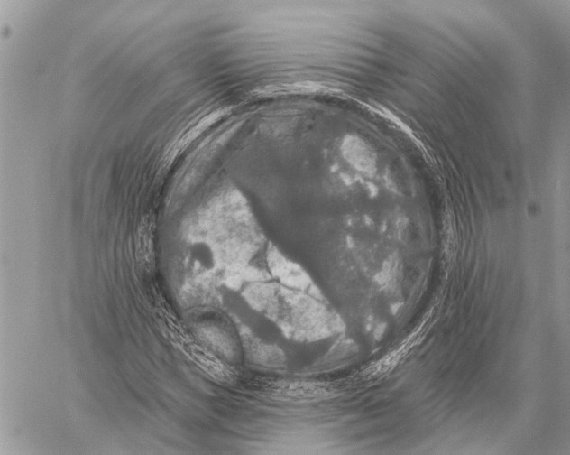 X0000059080921200510281720