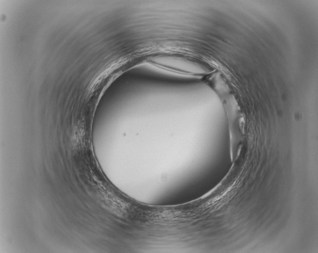 X0000059080922200510281720