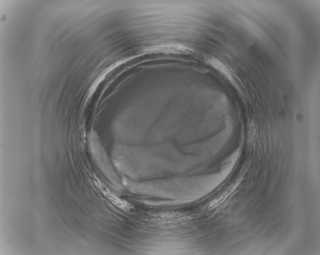 X0000059080923200510281720