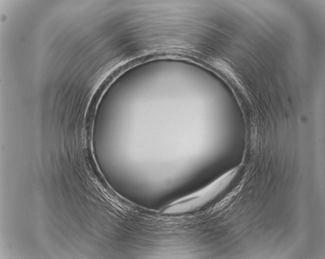 X0000059080924200510281720