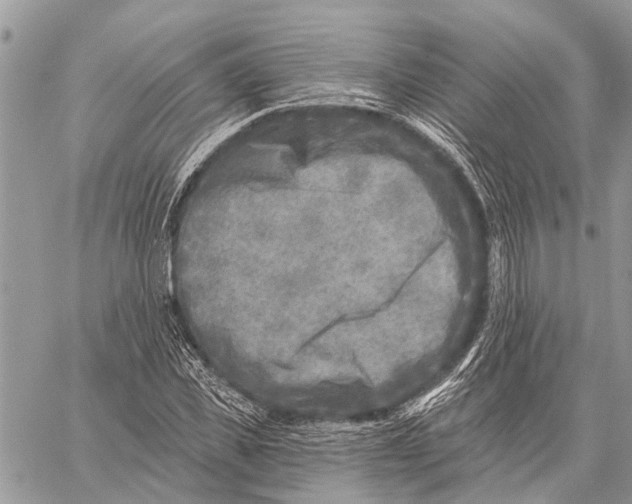 X0000059080925200510281720