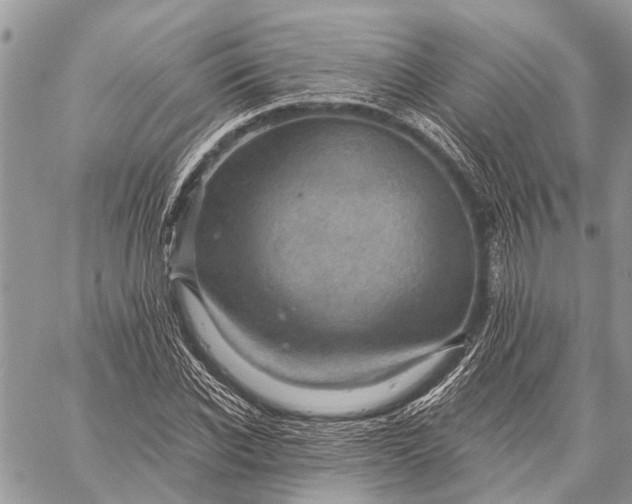 X0000059080926200510281720