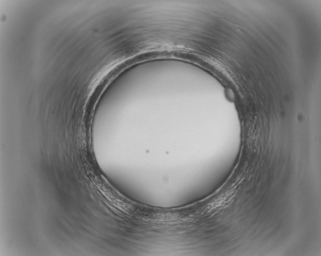 X0000059080927200510281720