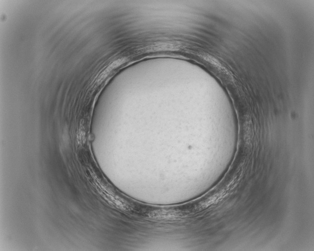 X0000059080929200510281720