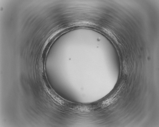 X0000059080931200510281720