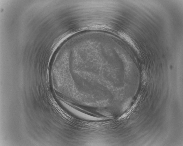 X0000059080932200510281720