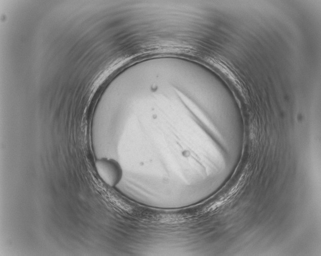 X0000059080933200510281720