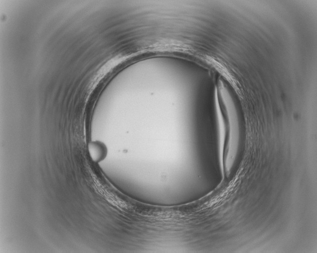 X0000059080934200510281720