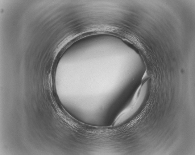 X0000059080936200510281720