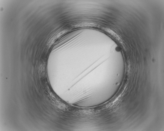 X0000059080937200510281720