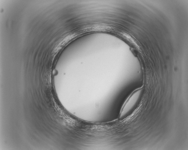 X0000059080938200510281720