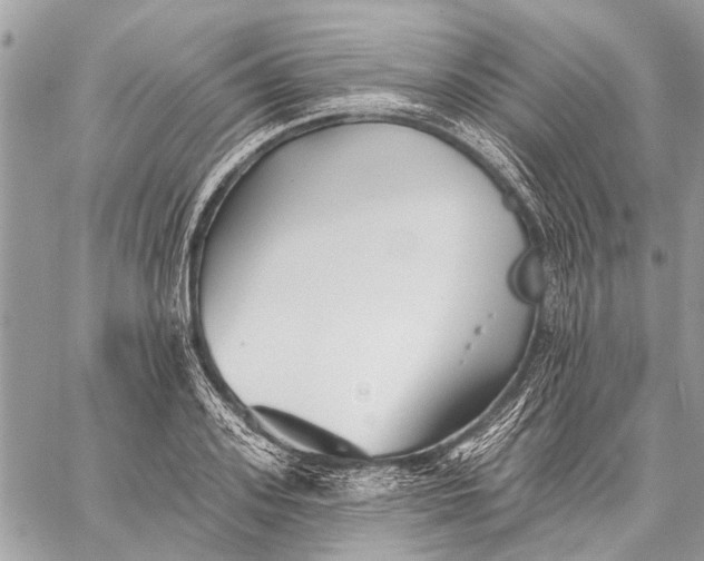 X0000059080939200510281720