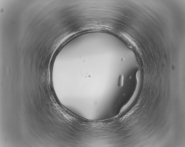 X0000059080940200510281720