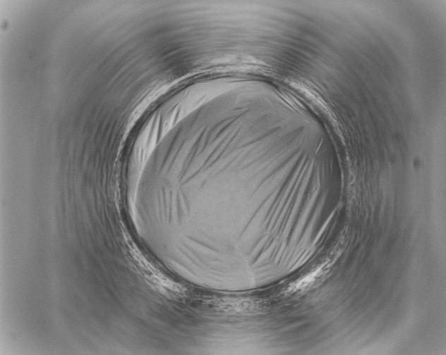 X0000059080941200510281720