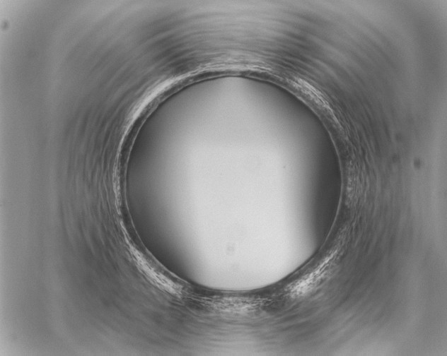 X0000059080942200510281720