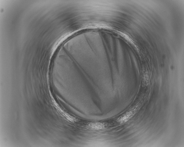 X0000059080943200510281720