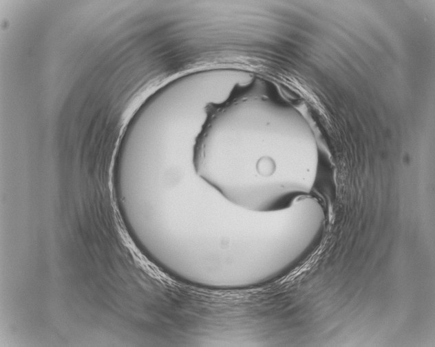 X0000059080944200510281720