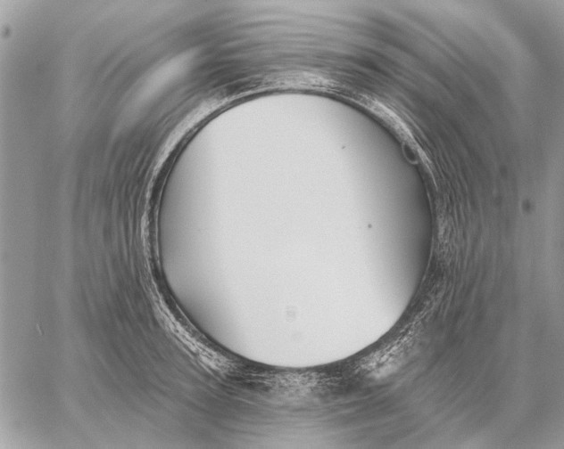 X0000059080947200510281720