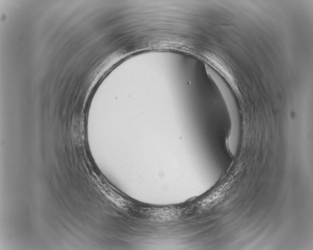 X0000059080948200510281720