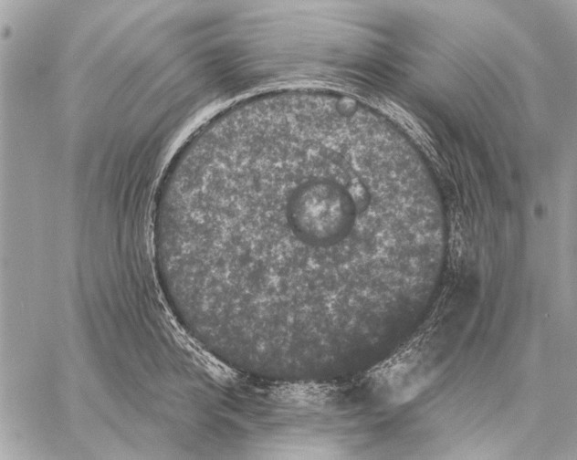 X0000059080950200510281720