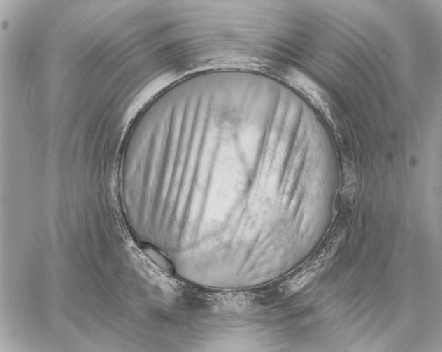 X0000059080952200510281720