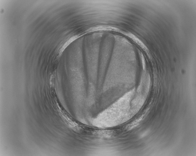 X0000059080953200510281720