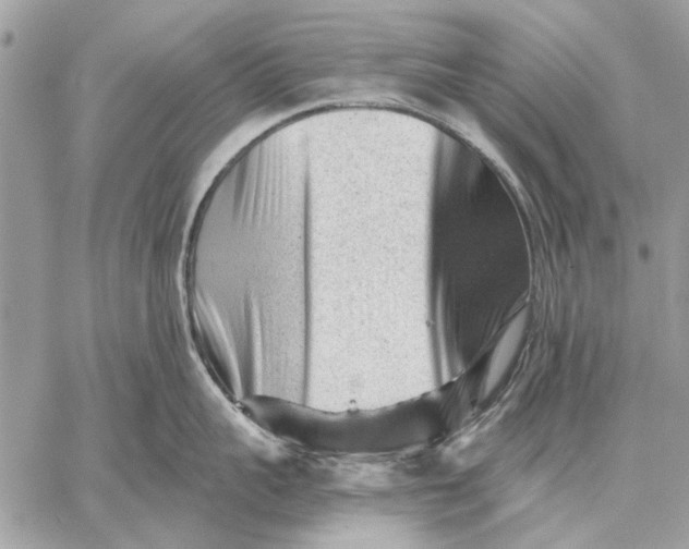 X0000059080959200510281720