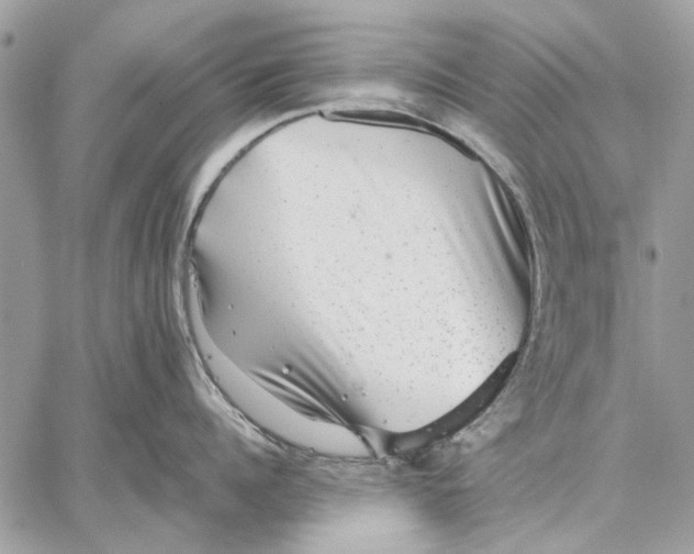 X0000059080960200510281720