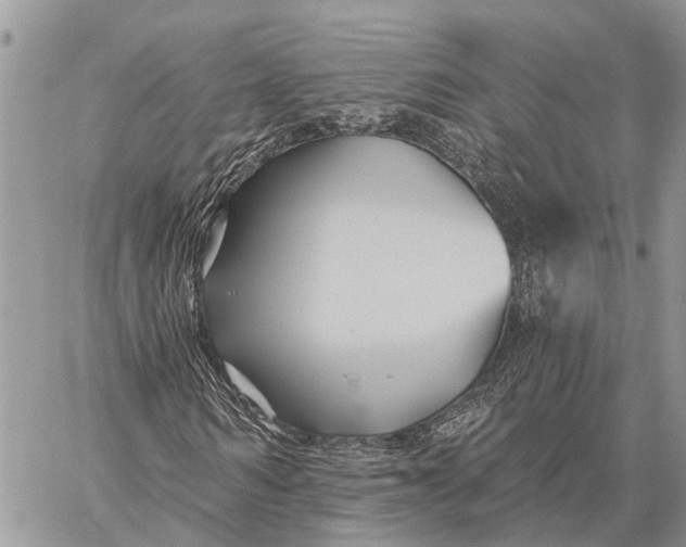 X0000059080962200510281719