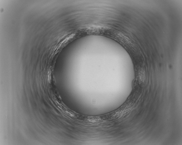 X0000059080964200510281719