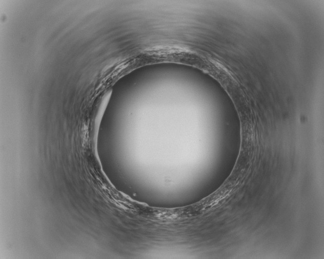 X0000059080965200510281719